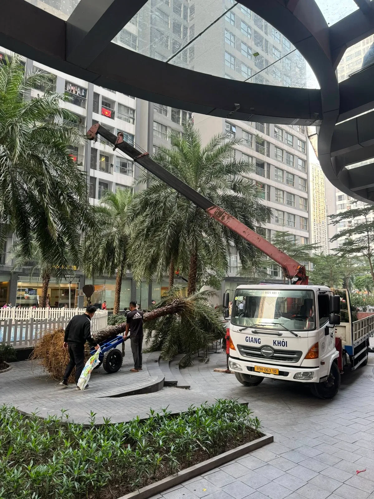 Cảnh quan & Cẩu cây cảnh - Xe cẩu Giang Khôi Hưng Yên